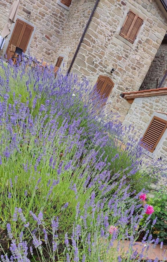 Podere Verdi Colline Poppi Exterior photo